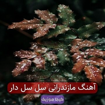 آهنگ مازندرانی سل سل دار