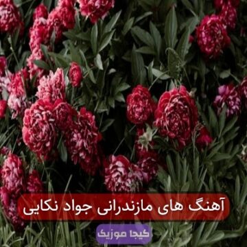 آهنگ های مازندرانی موزیکفا