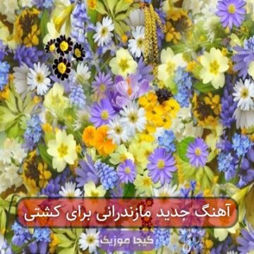 آهنگ جدید مازندرانی برای کشتی