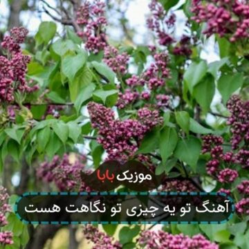 آهنگ تو یه چیزی تو نگاهت هست