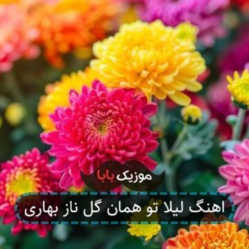 اهنگ لیلا تو همان گل ناز بهاری