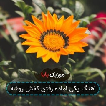 اهنگ یکی اماده رفتن کفش روشه
