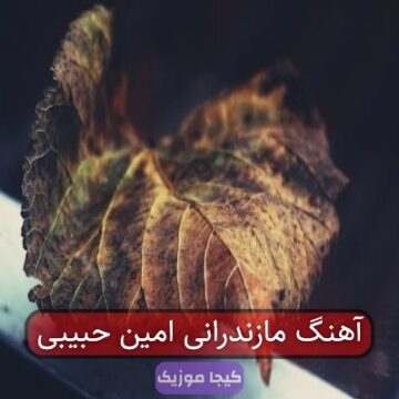 آهنگ مازندرانی امین حبیبی