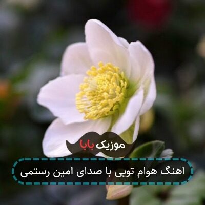 اهنگ هوام تویی با صدای امین رستمی