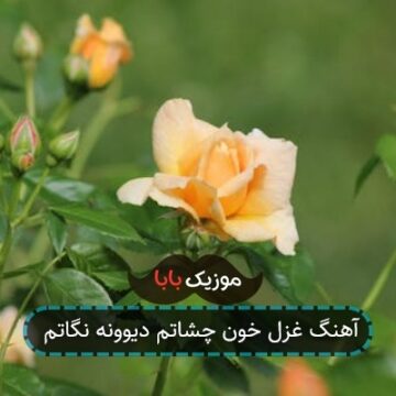 آهنگ غزل خون چشاتم دیوونه نگاتم