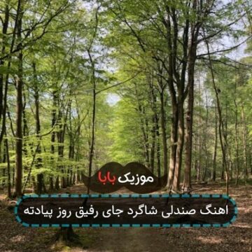 اهنگ صندلی شاگرد جای رفیق روز پیادته اهنگ صندلی شاگرد جای رفیق روز پیادته