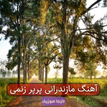 آهنگ مازندرانی پرپر زنمی