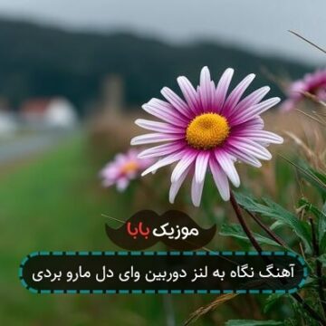 آهنگ نگاه به لنز دوربین وای دل مارو بردی آهنگ نگاه به لنز دوربین وای دل مارو بردی