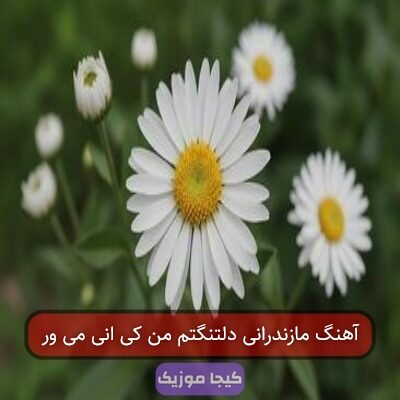 آهنگ مازندرانی دلتنگتم من کی انی می ور