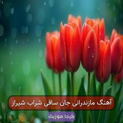 آهنگ مازندرانی جان ساقی شراب شیراز