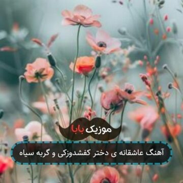 آهنگ عاشقانه ی دختر کفشدوزکی و گربه سیاه