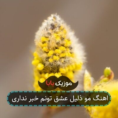 اهنگ مو ذلیل عشق تونم خبر نداری