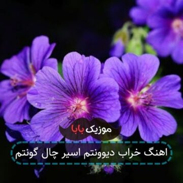 اهنگ خراب دیوونتم اسیر چال گونتم اهنگ خراب دیوونتم اسیر چال گونتم