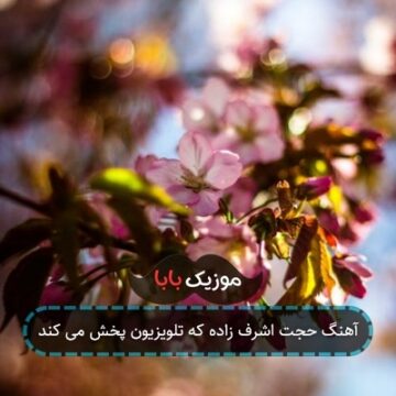 آهنگ حجت اشرف زاده که تلویزیون پخش می کند