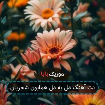 نت آهنگ دل به دل همایون شجریان