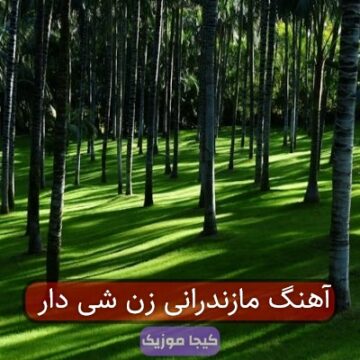 آهنگ مازندرانی. زن شی دار آهنگ مازندرانی. زن شی دار
