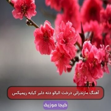 آهنگ مازندرانی درخت آلبالو دنه