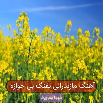 آهنگ مازندرانی تفنگ بی جوازه