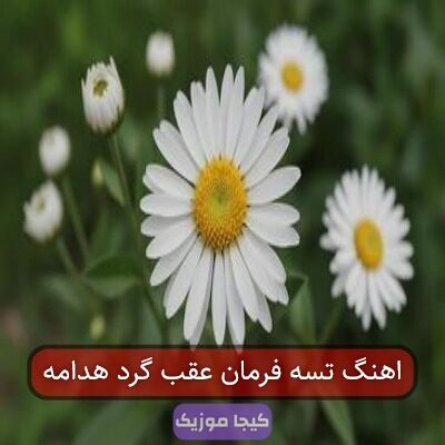آهنگ مازندرانی عقب گرد