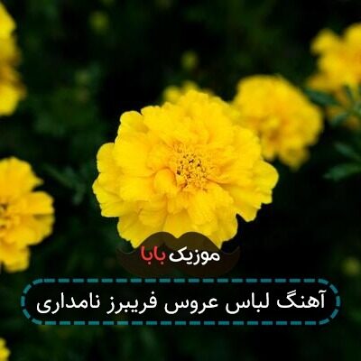 آهنگ لباس عروس فریبرز نامداری آهنگ لباس عروس فریبرز نامداری