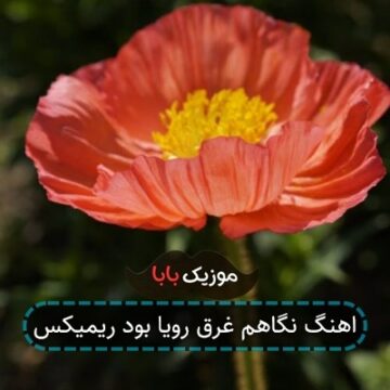 اهنگ نگاهم غرق رویا بود ریمیکس