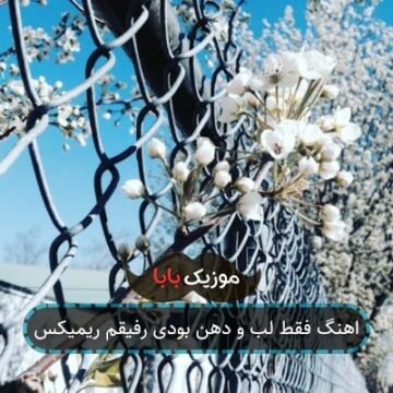 اهنگ فقط لب و دهن بودی رفیقم ریمیکس
