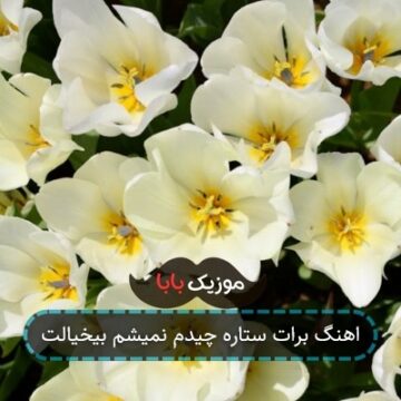 اهنگ برات ستاره چیدم نمیشم بیخیالت