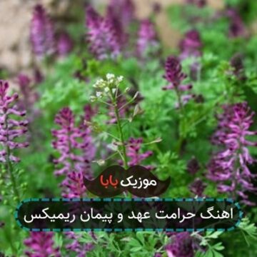 اهنگ حرامت عهد و پیمان ریمیکس