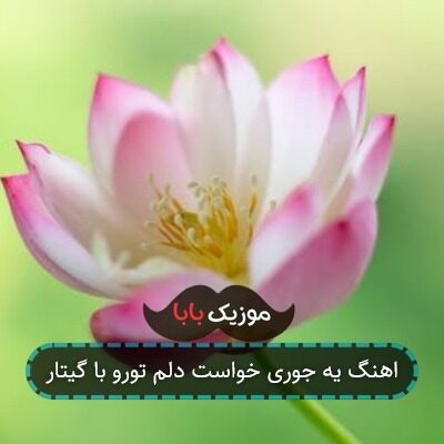 اهنگ یه جوری خواست دلم تورو با گیتار
