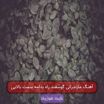 آهنگ مازندرانی گوسفند راه بدامه سمت بالایی