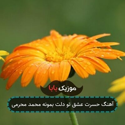 آهنگ حسرت عشق تو دلت بمونه محمد محرمی