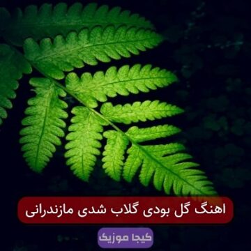 اهنگ گل بودی گلاب شدی مازندرانی