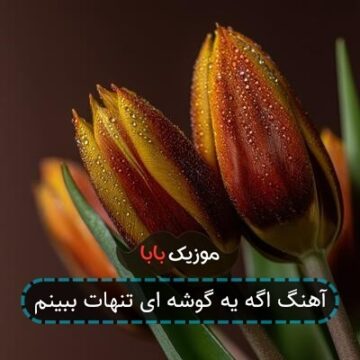 آهنگ اگه یه گوشه ای تنهات ببینم
