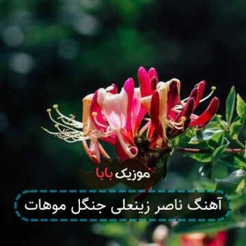 آهنگ ناصر زینعلی جنگل موهات