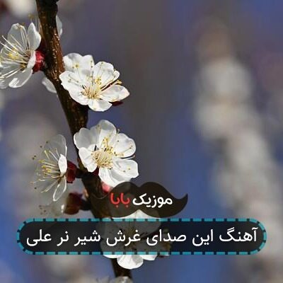 آهنگ این صدای غرش شیر نر علی