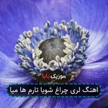 اهنگ لری چراغ شویا تارم ها میا