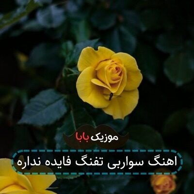 اهنگ سواربی تفنگ فایده نداره