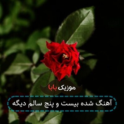 آهنگ شده بیست و پنج سالم دیگه