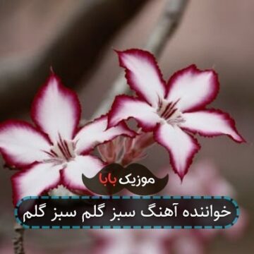 خواننده آهنگ سبز گلم سبز گلم