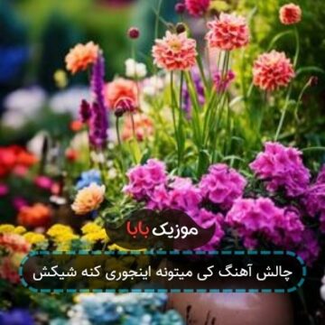 چالش آهنگ کی میتونه اینجوری کنه شیکش