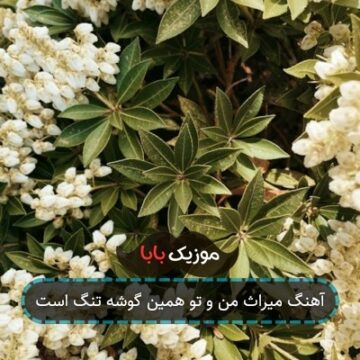 آهنگ میراث من و تو همین گوشه تنگ است آهنگ میراث من و تو همین گوشه تنگ است