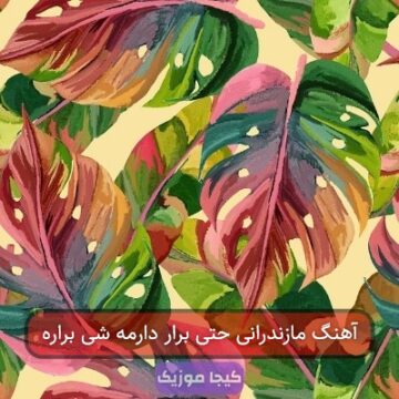 آهنگ مازندرانی حتی برار دارمه شی براره