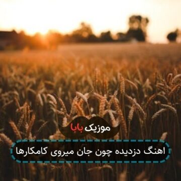 اهنگ دزدیده چون جان میروی کامکارها