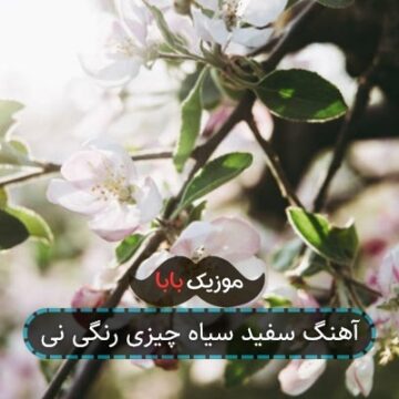 آهنگ سفید سیاه چیزی رنگی نی