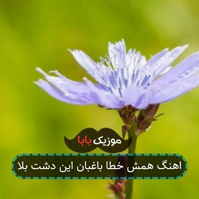 اهنگ همش خطا باغبان این دشت بلا