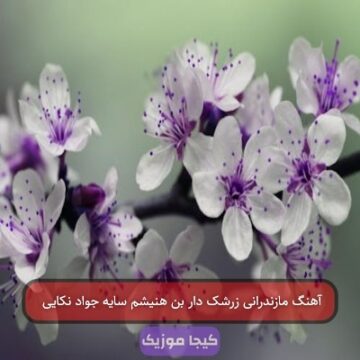 آهنگ مازندرانی زرشک دار بن هنیشم سایه جواد نکایی