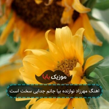اهنگ مهرزاد نوازنده بیا جانم جدایی سخت است