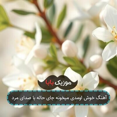 آهنگ خوش اومدی میخونه جای حاله با صدای مرد