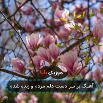آهنگ بر سر دست دلم مردم و زنده شدم آهنگ بر سر دست دلم مردم و زنده شدم