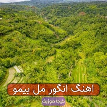 اهنگ انگور مل بیمو